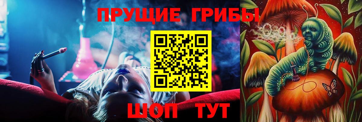 Псилоцибиновые грибы GOLDEN TEACHER Тайшет