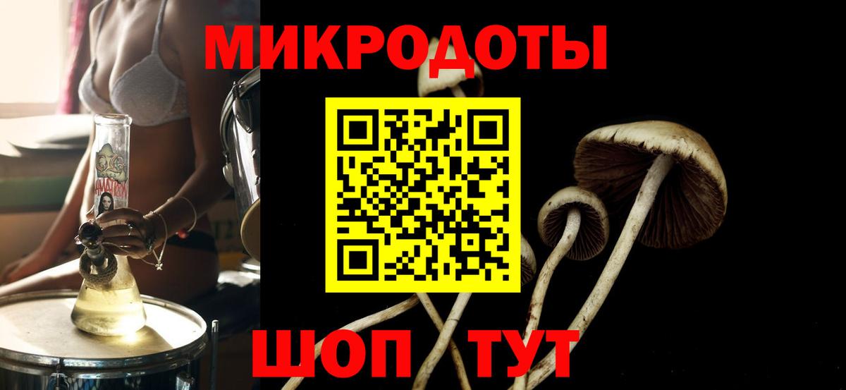 Тайшет  Псилоцибиновые грибы Magic Shrooms  Вход с VPN 