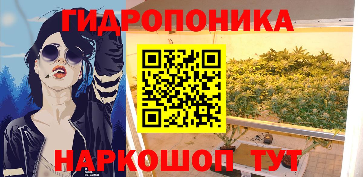 Бошки марихуана гибрид  Бошки марихуана индика  Тайшет  Бошки Шишки Amnesia  Вход с VPN 